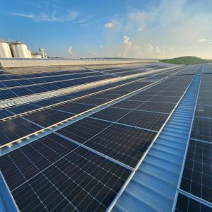 Pin năng lượng mặt trời SOLAR PANEL - Solardeland 630WP/30mm